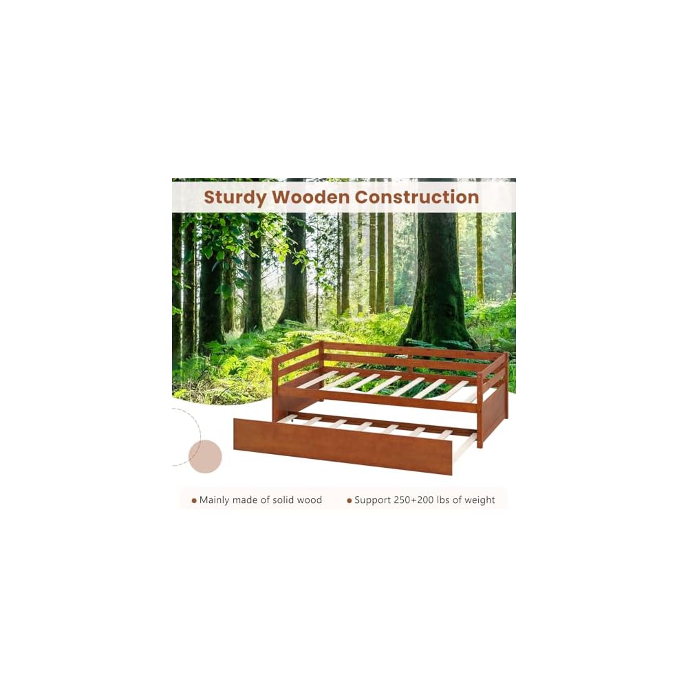 Twin Daybed with Trundle, Wood Trundle Bed with Wood Slat Support, Mid Century Day Bed Frame for Living Room Guest Room, No Box Spring Needed, Walnut